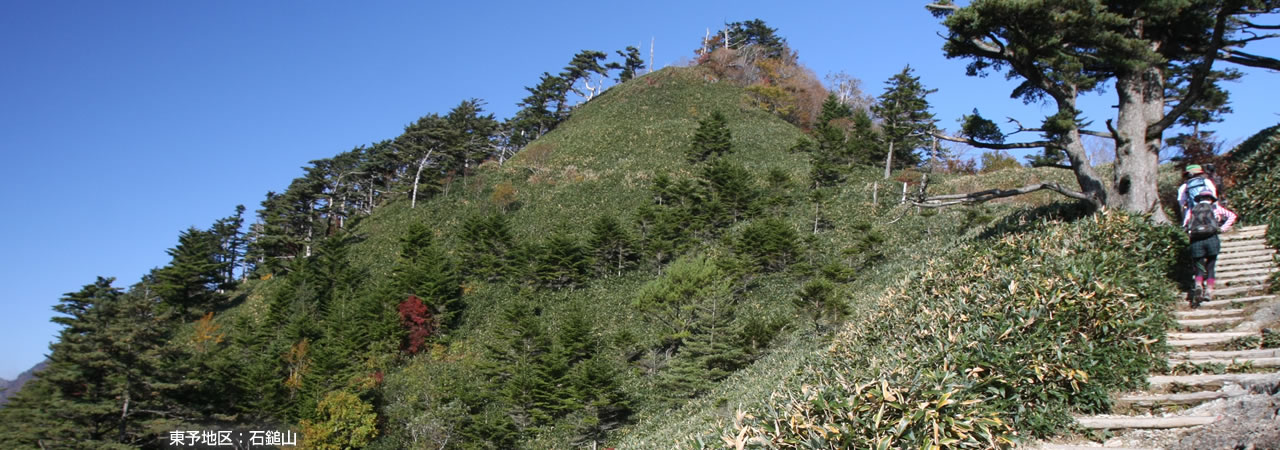 高茂岬